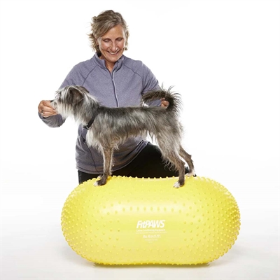 FitPaws Trax Peanut Balance & Styrketræning Til Hund GUL 40cm